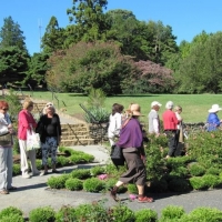 September- Cut Gardens