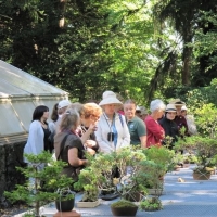 September- Cut Gardens