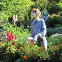 September- Cut Gardens