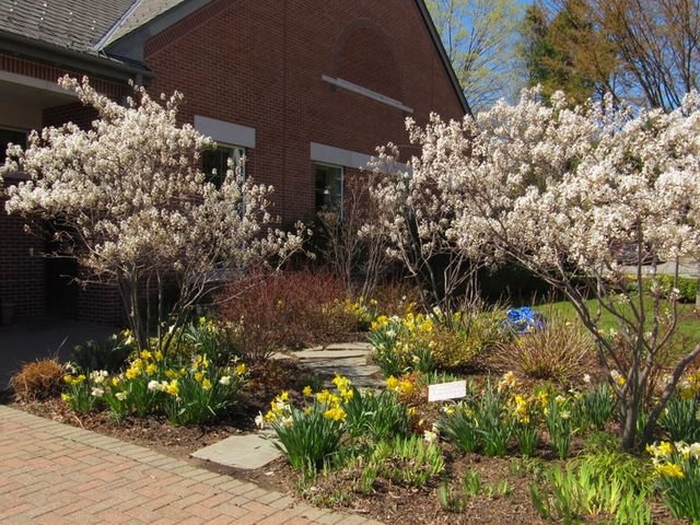 April- Library and Triangle Gardens