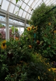 September- NY Botanic Garden Trip pic 4