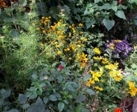 September- NY Botanic Garden Trip pic 5