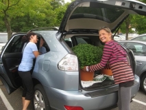 September- Mum Sale pic 4