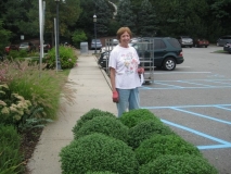 September- Mum Sale pic 6