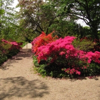 2013 May Long Island Gardens