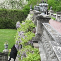 2013 May Long Island Gardens
