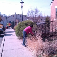 April- Spring Cleanings