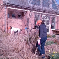 April- Spring Cleanings