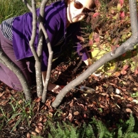October- Clean-up